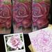 Tattoos - Pink Rose Tattoo - 53908